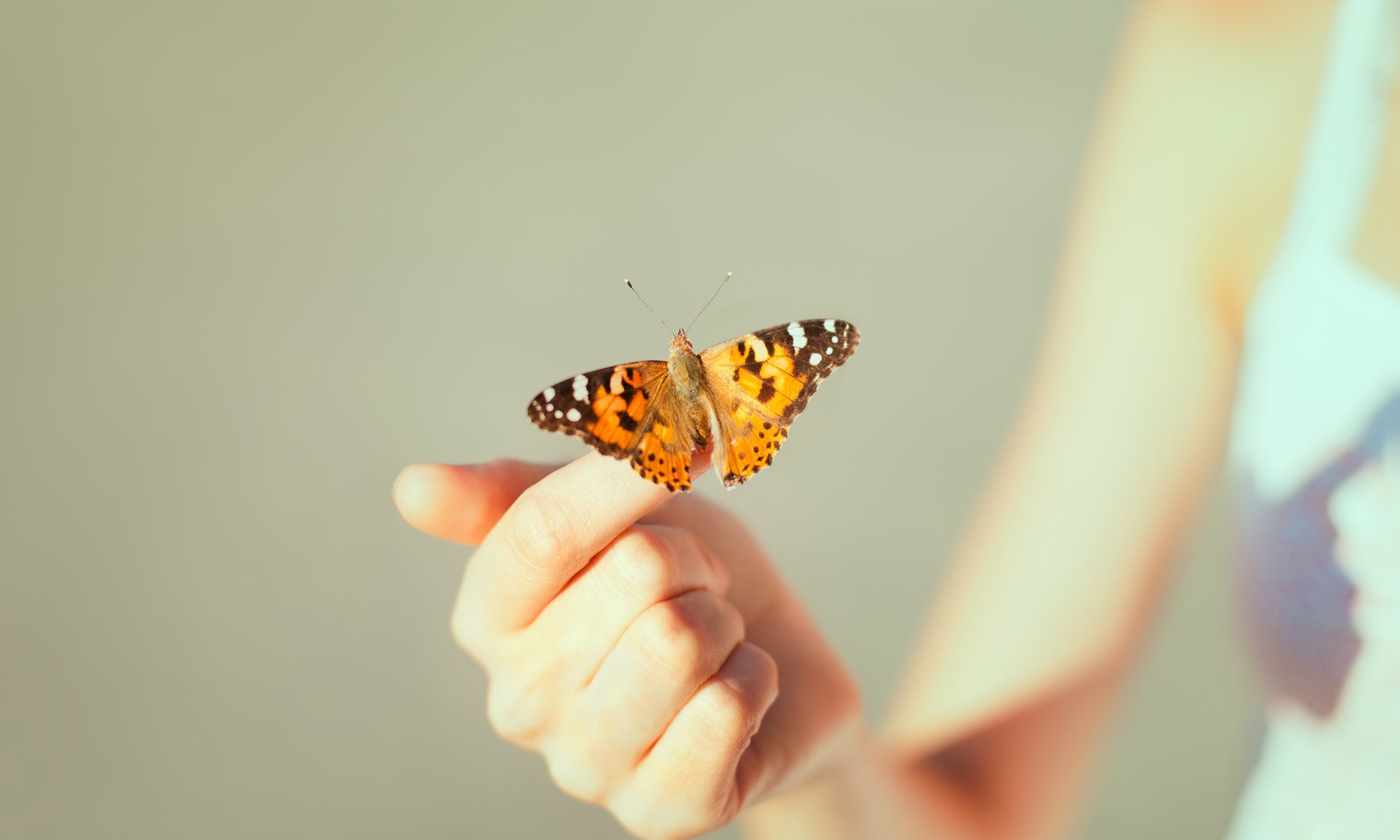 butterfly on a woman's finger