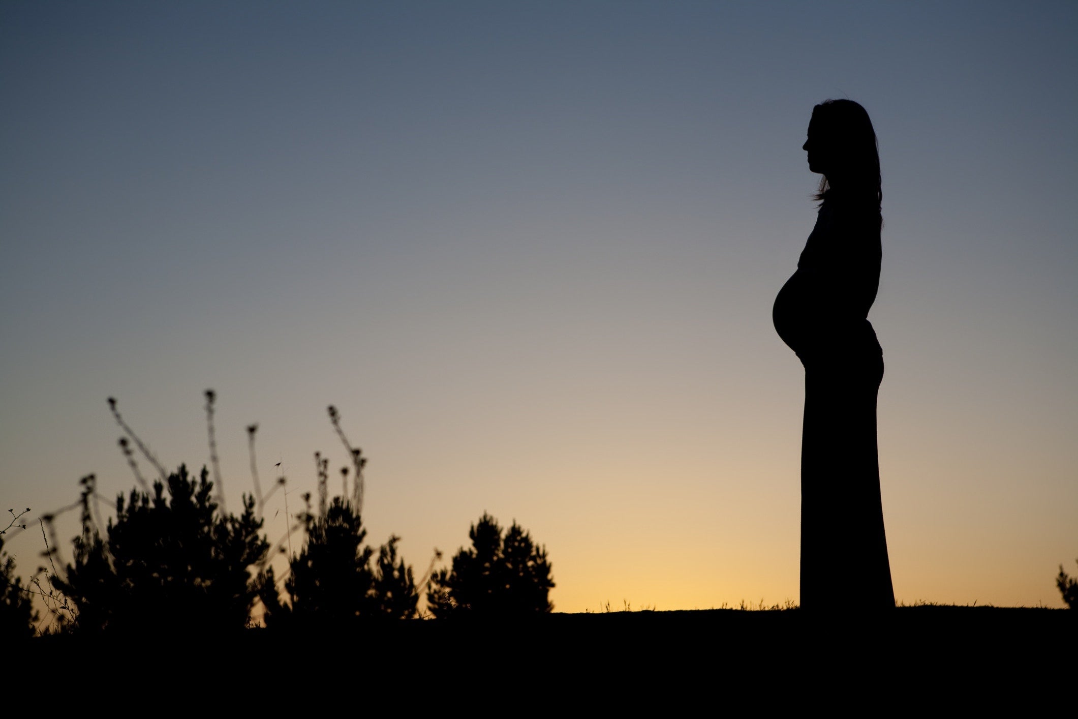 pregnant woman at sunset with solid color background