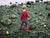 boy with boots walking over rocks towards the sea