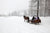 sleigh ride with snow coming down